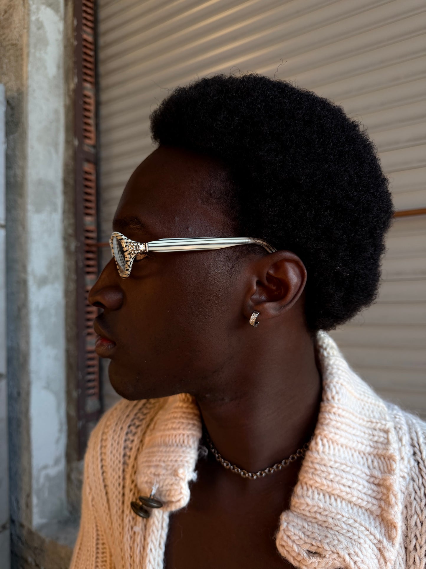 GIANFRANCO FERRÉ ZEBRA GLASSES