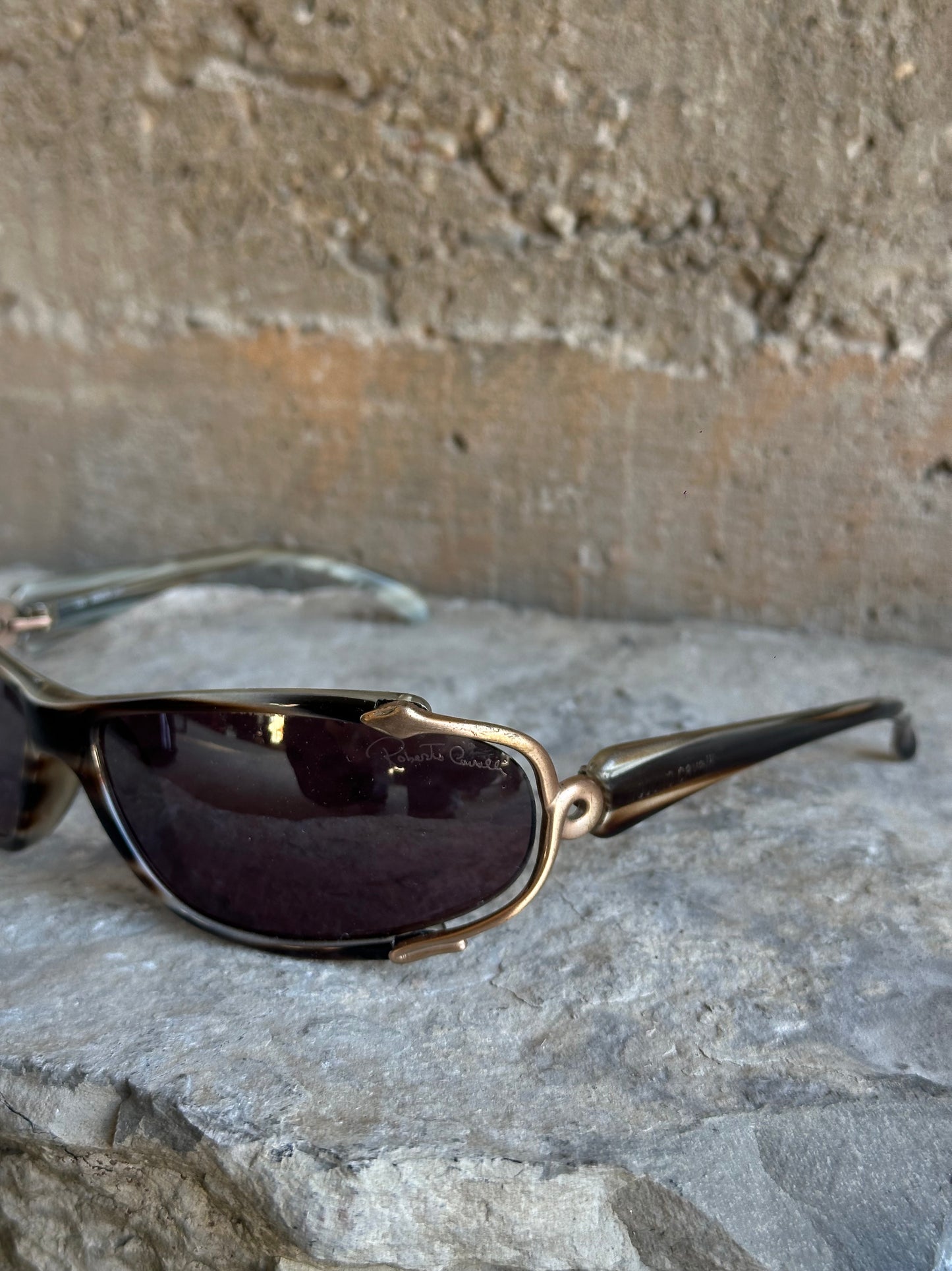 ROBERTO CAVALLI RIDER SUNGLASSES