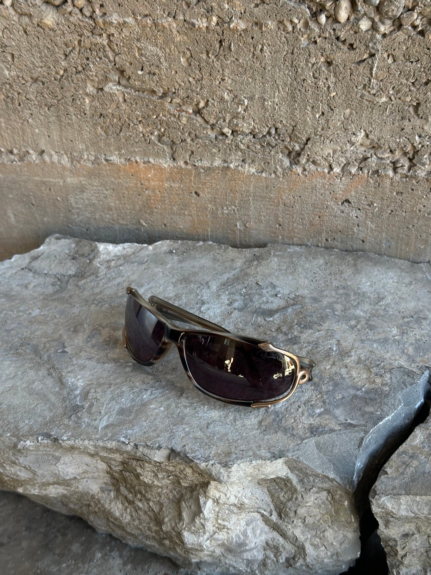 ROBERTO CAVALLI RIDER SUNGLASSES
