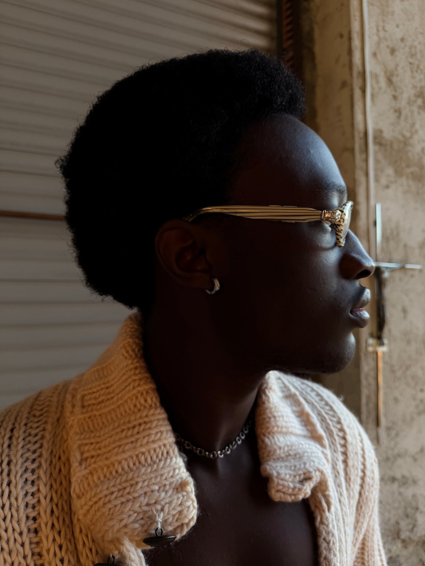 GIANFRANCO FERRÉ ZEBRA GLASSES