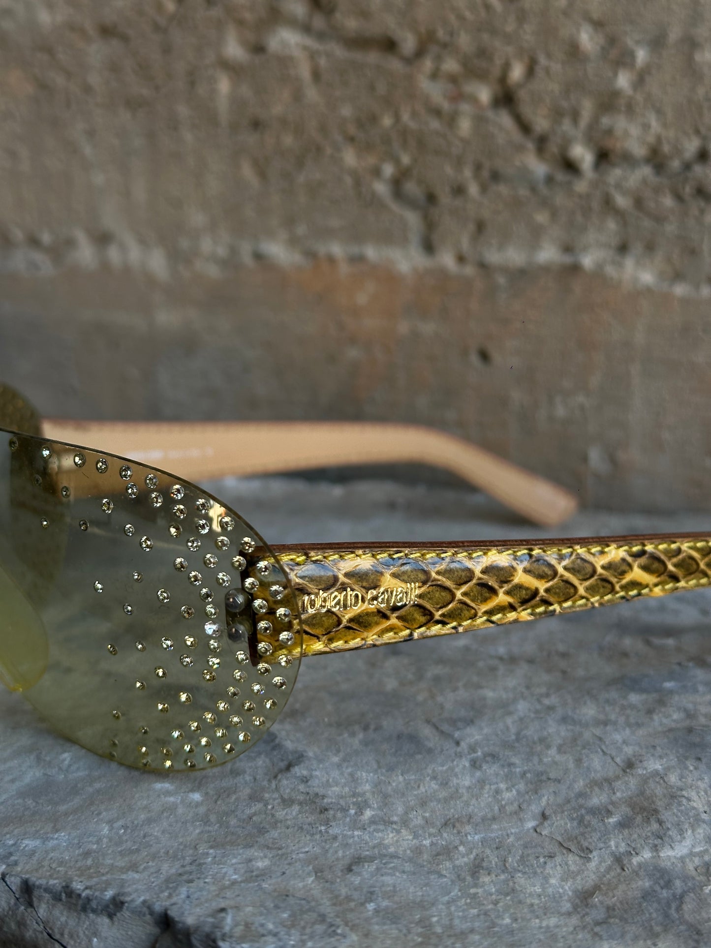 ROBERTO CAVALLI CLEOPATRA RUNWAY SUNGLASSES