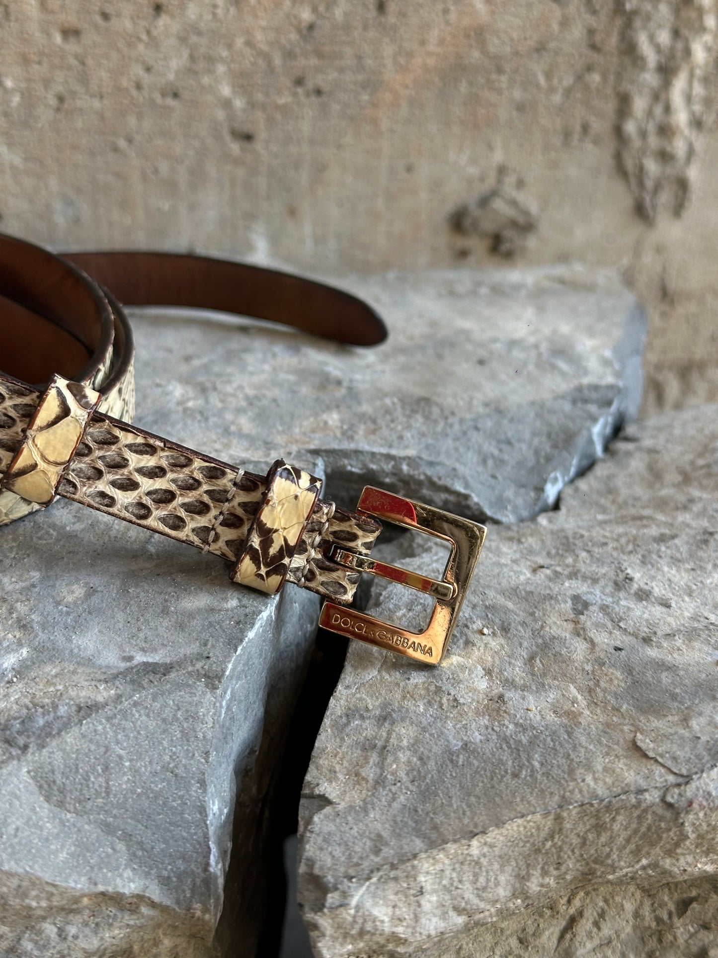 DOLCE & GABBANA SNAKESKIN MINI BELT
